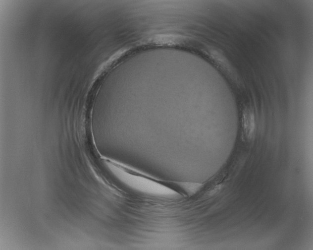 X0000080120492200612302014