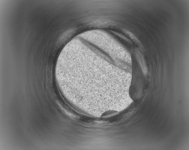 X0000080120493200612302014