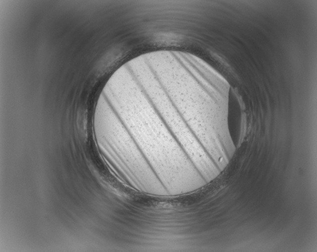 X0000080120494200612302014