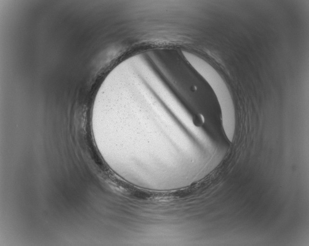 X0000080120495200612302014