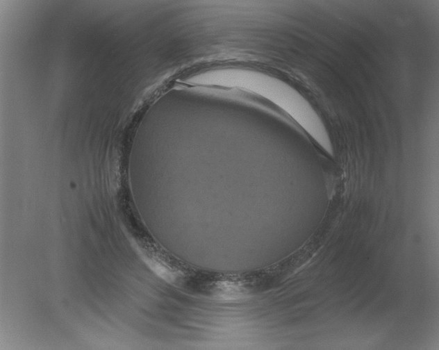 X0000080120496200612302014