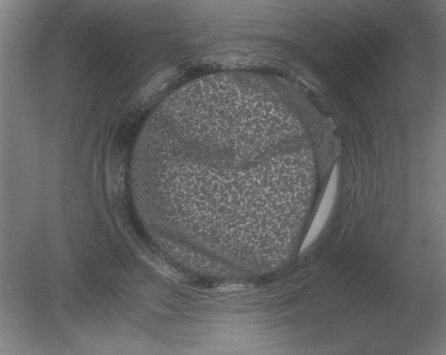 X0000080120499200612302014