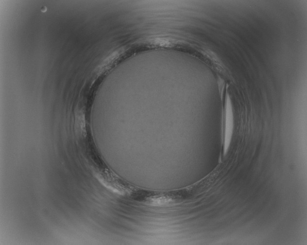 X0000080120500200612302014