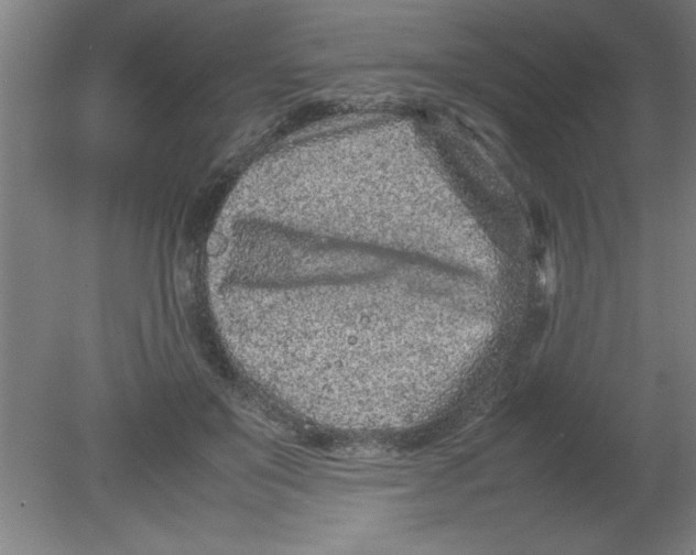 X0000080120503200612302014