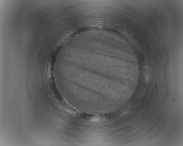 X0000080120504200612302014