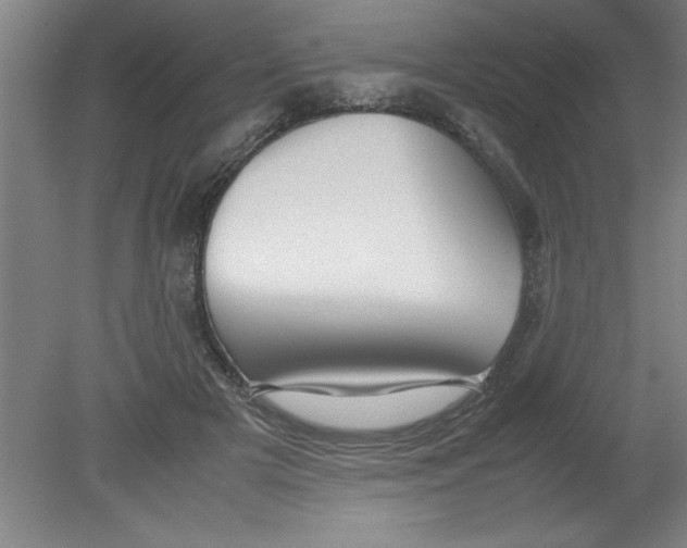 X0000080120505200612302014