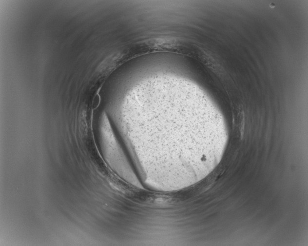 X0000080120506200612302014