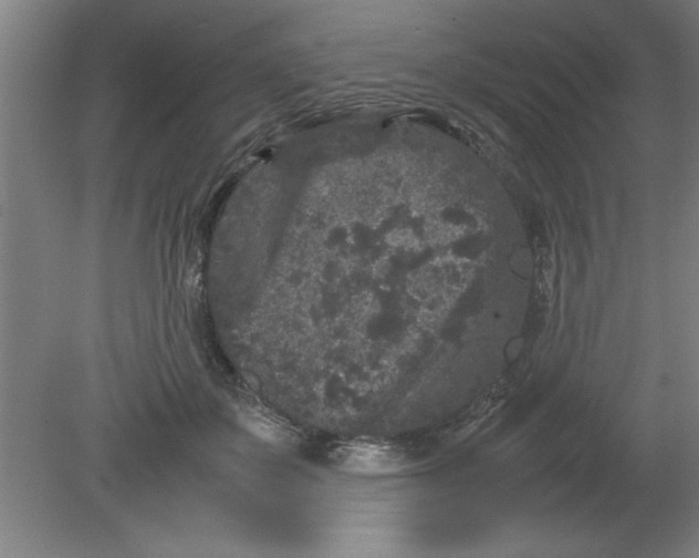 X0000080120507200612302014