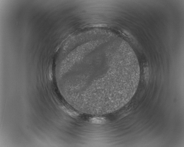 X0000080120508200612302014