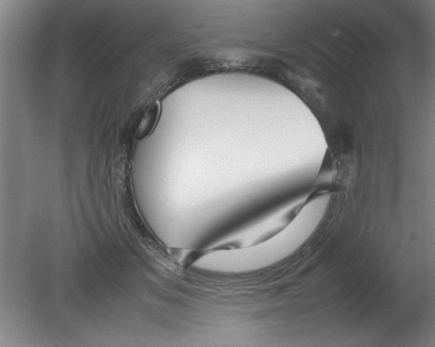 X0000080120509200612302014