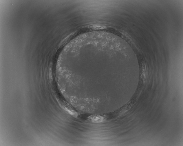 X0000080120512200612302014