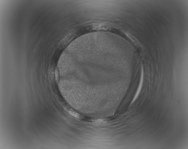 X0000080120513200612302014