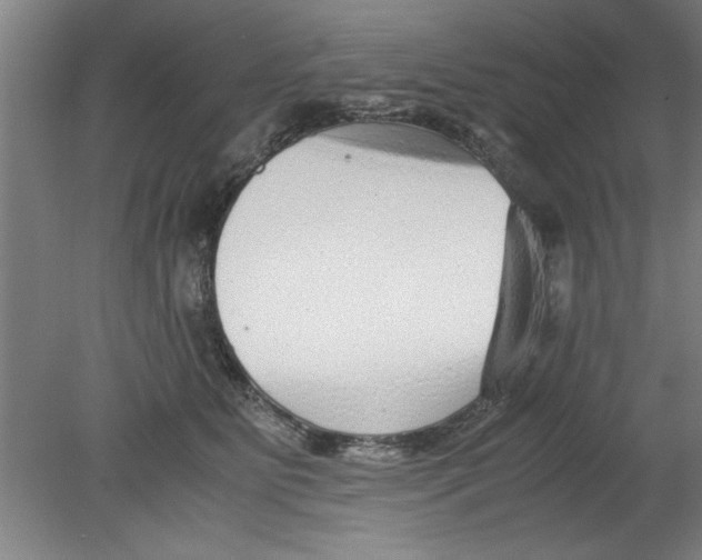 X0000080120515200612302013