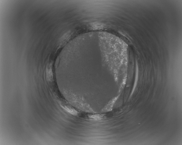 X0000080120516200612302013