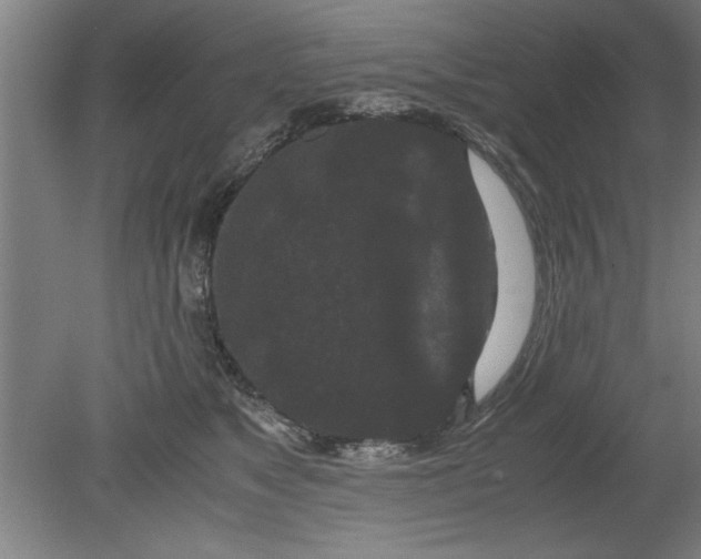 X0000080120517200612302013