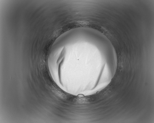 X0000080120518200612302013