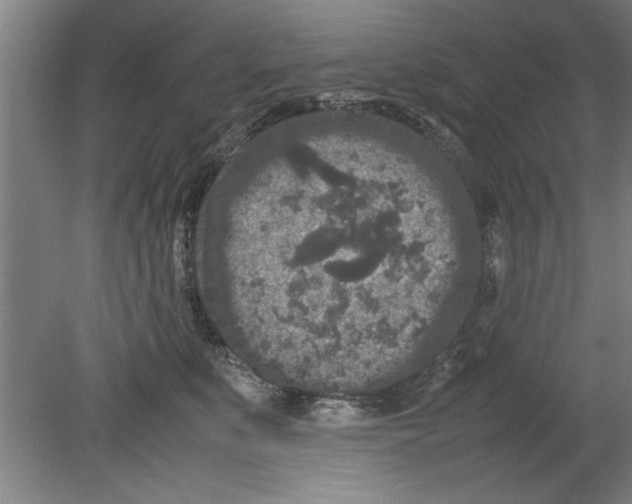 X0000080120519200612302013