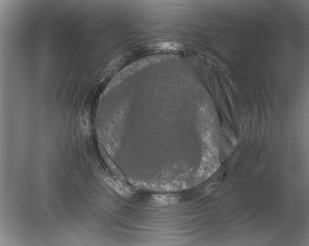 X0000080120520200612302013