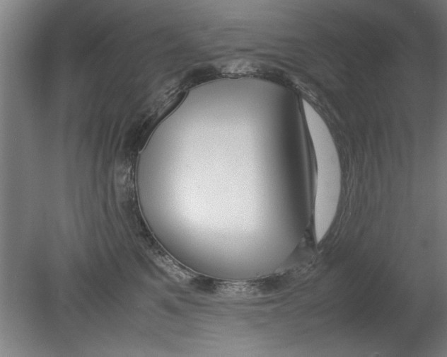 X0000080120521200612302013