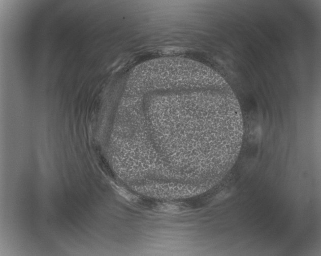 X0000080120523200612302013