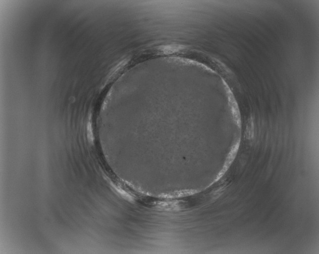 X0000080120524200612302013