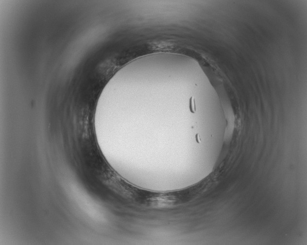 X0000080120525200612302013