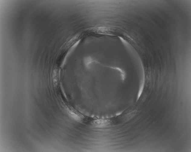 X0000080120526200612302013