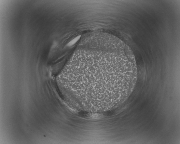 X0000080120527200612302013