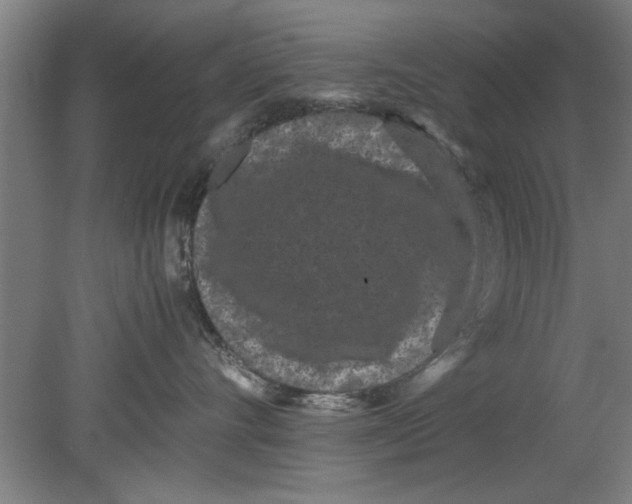 X0000080120528200612302013