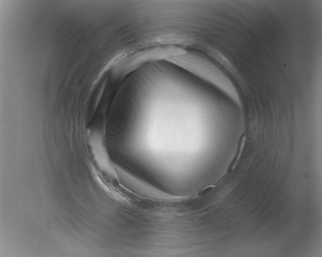 X0000080120530200612302012