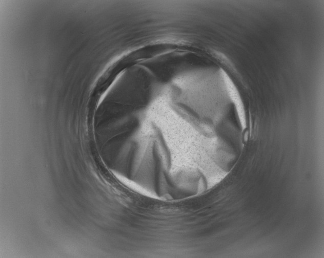 X0000080120531200612302012