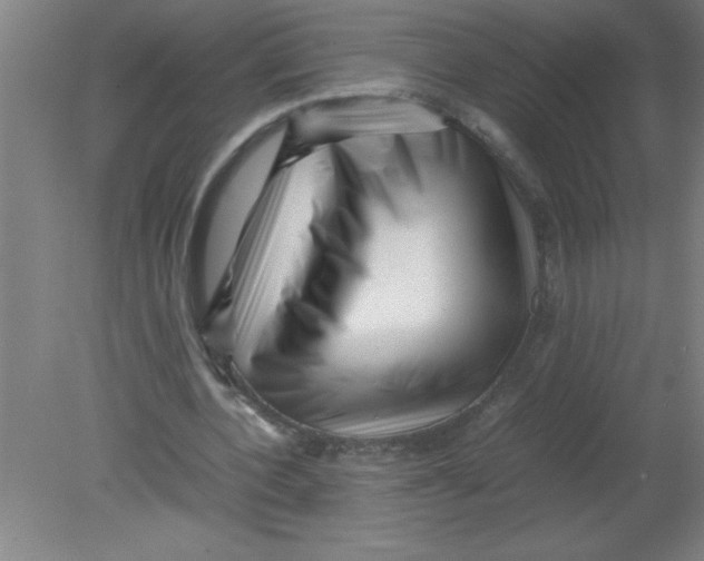 X0000080120532200612302013