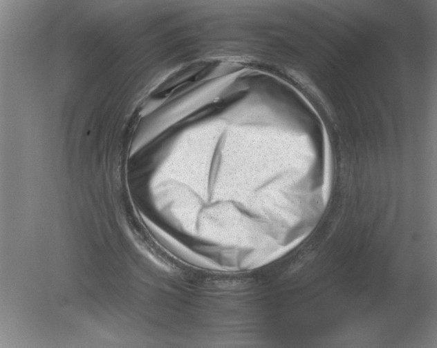 X0000080120533200612302013