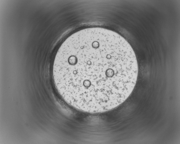 X0000080120534200612302013