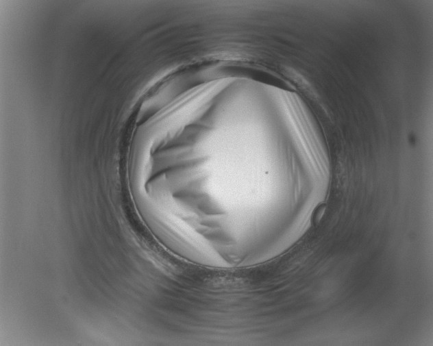 X0000080120535200612302013