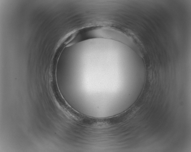 X0000080120536200612302013