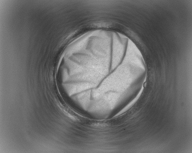 X0000080120537200612302013