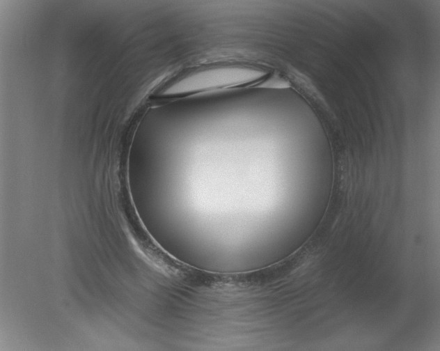 X0000080120538200612302013