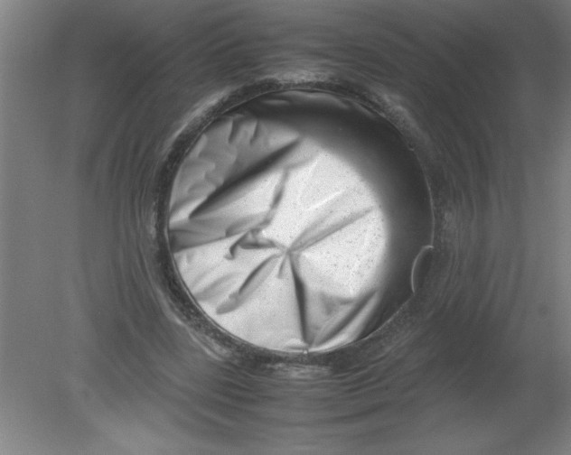 X0000080120539200612302013