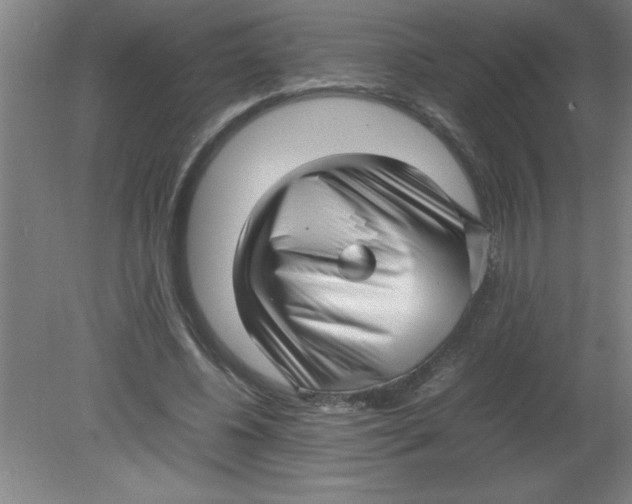 X0000080120540200612302013