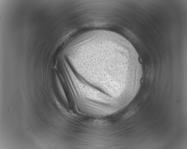 X0000080120542200612302013