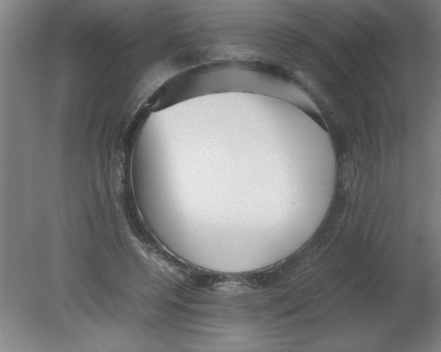 X0000080120544200612302013