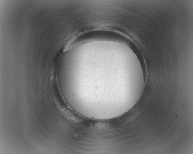 X0000080120546200612302013