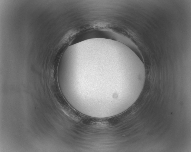 X0000080120548200612302013