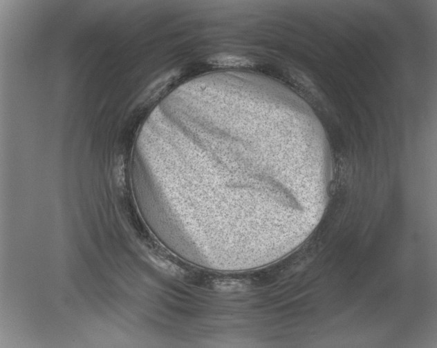 X0000080120549200612302013