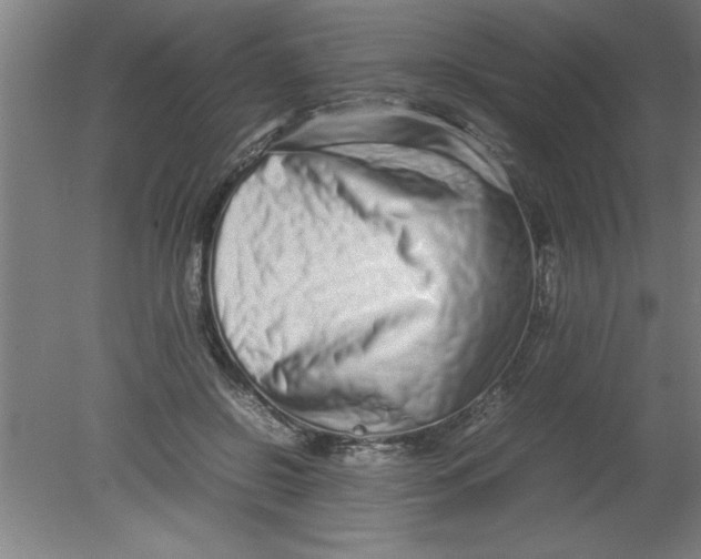 X0000080120550200612302013