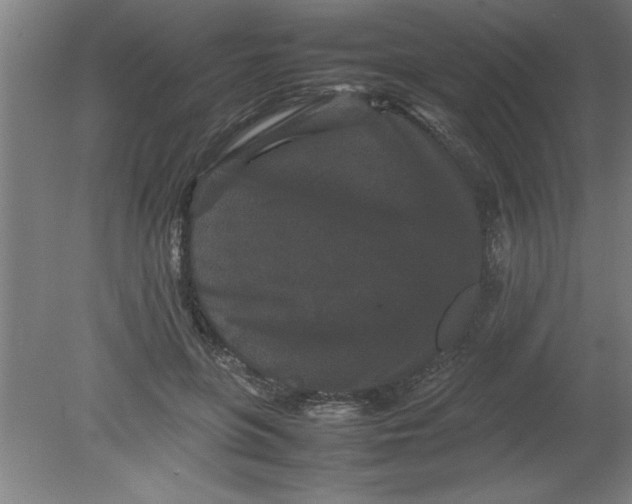 X0000080120551200612302013