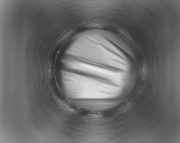 X0000080120552200612302013