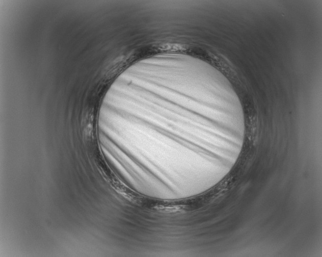 X0000080120553200612302013