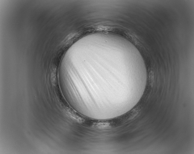 X0000080120554200612302013